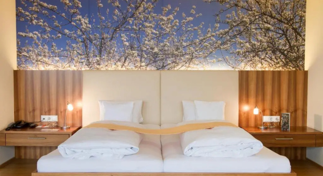 Люкс Genusshotel Riegersburg
