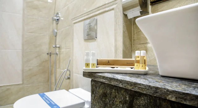 Люкс Luxury Hotel ARJUNAA