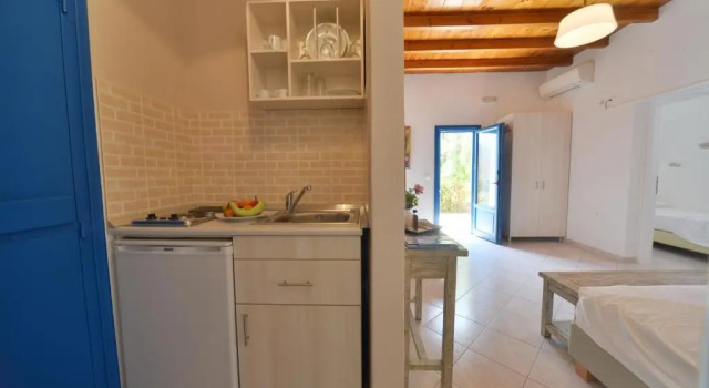 Апартаменты c 1 комнатой с видом на сад Amorgion Village