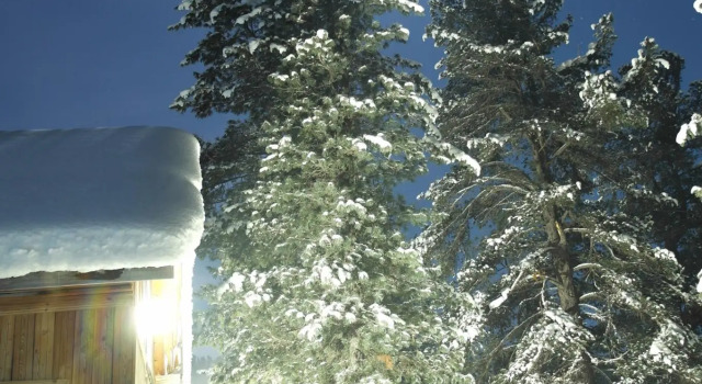 Snow leopard, Rezervovat Hotel Abaza 