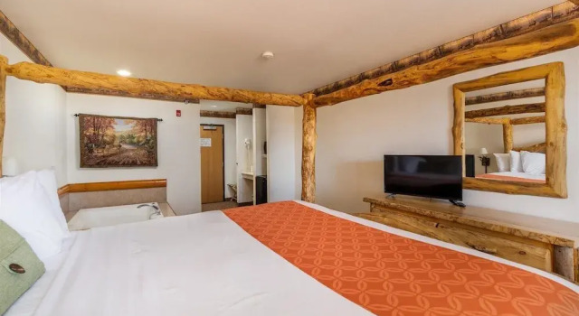 Двухместный номер Standard Grand Bear Resort at Starved Rock