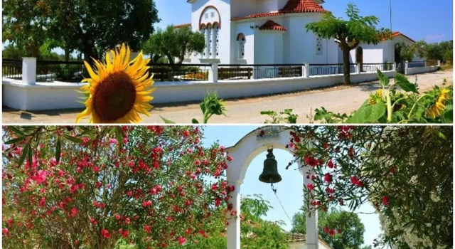 Апартаменты Center House