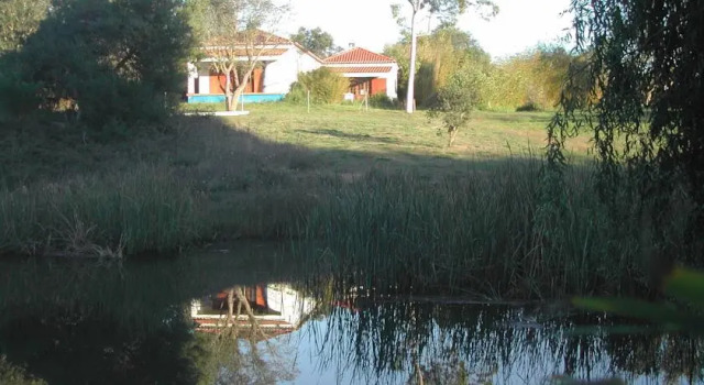Holiday Homes in Zambujeira do Mar