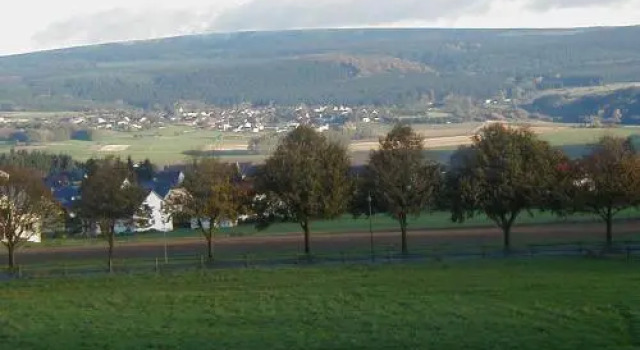 Hotel Wildenburger Hof, Rezervați Hotel Kempfeld Hunsrück
