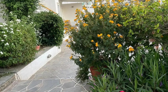 Апартаменты Alkyonis Sunset Suite
