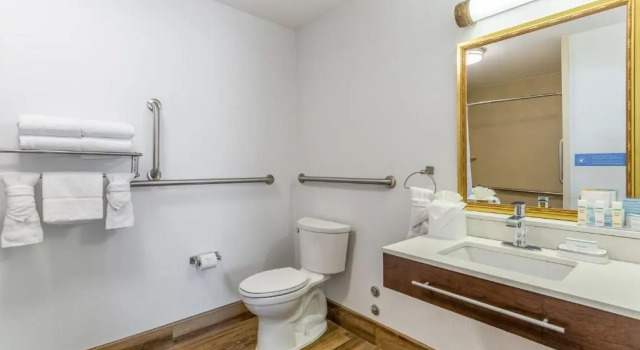 Люкс Hampton Inn & Suites Chicago - Libertyville