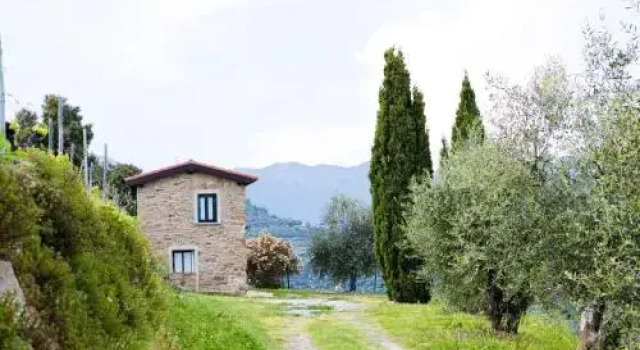 Terre Bianche Agriturismo, Boek Hotel Dolceacqua 