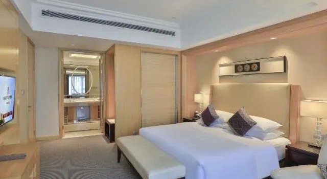 Executive Double Suite Tianma Narada Grand