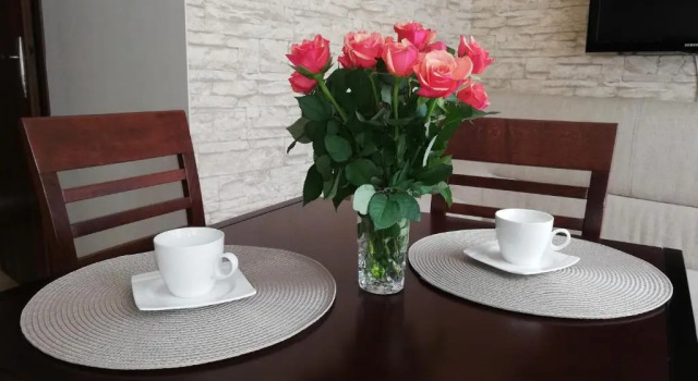 Апартаменты Apartament Familijny
