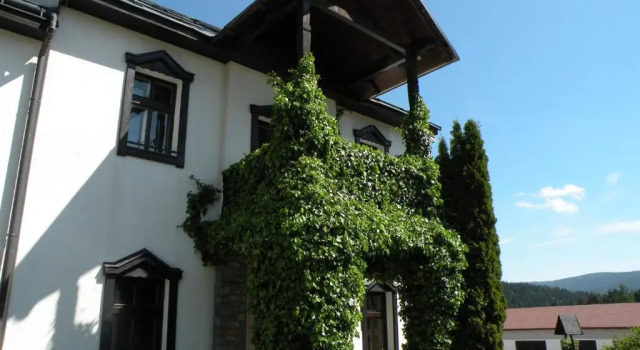 Люкс с балконом Hotel Lesní dům