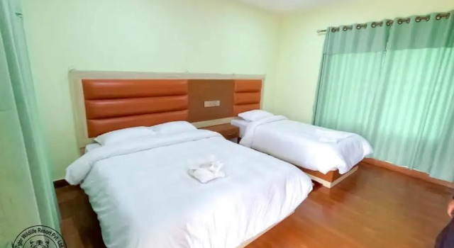 Номер Deluxe Tiger Wildlife Resort