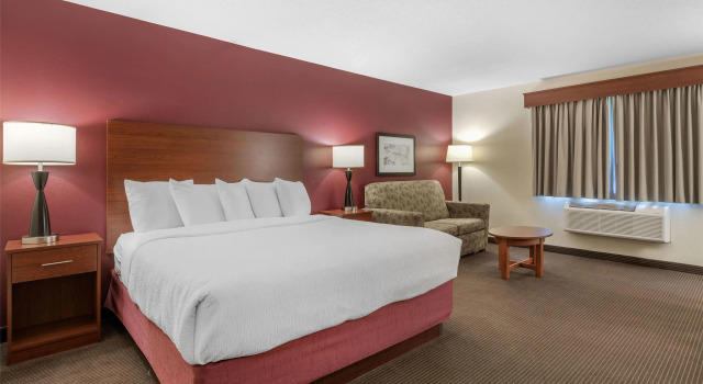 Двухместный номер Standard SureStay Plus Hotel by Best Western Litchfield