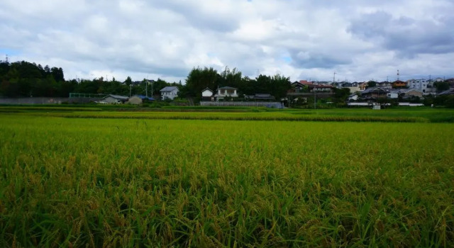 阿特利耶蜂之膝住宿加早餐旅馆, 预订 酒店 生驹 奈良县