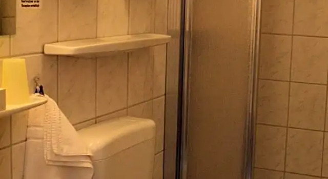 Одноместный номер Standard Hotel-Pension Ursula