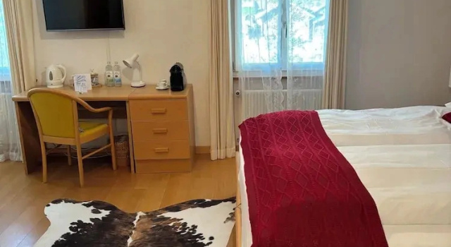 Одноместный номер Standard с частичным видом Alpina Boutique Hotel Interlaken