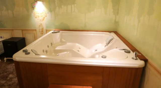 Двухместный люкс Deluxe Golden Ring Resort