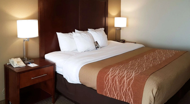 Двухместный номер Standard Comfort Inn I-10 West at 51st Ave