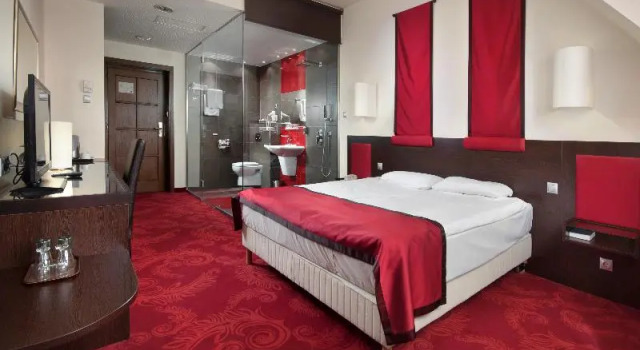 Номер Standard с балконом Rubin Wellness & Conference Hotel