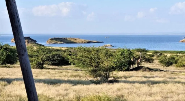 Номер Luxury Africa Safari Lake Natron