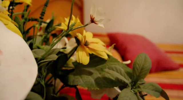 Номер Economy Hostal Ramón y Cajal