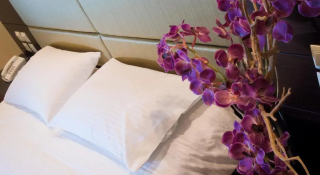 Номер Standard Giotis Boutique Hotel