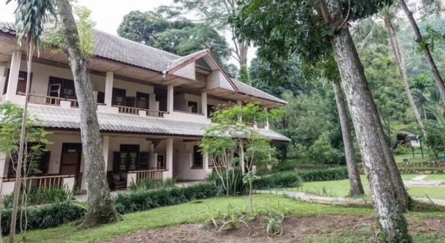 Номер Deluxe Ecolodge Bukit Lawang