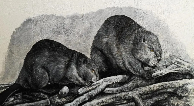 Двухместный номер Economy с красивым видом из окна Overlook Inn & Cabins