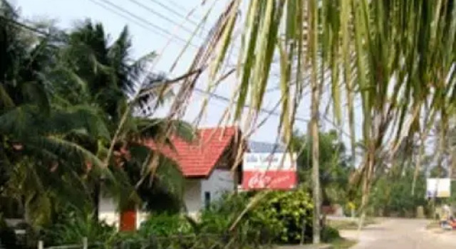 Sea Beach Resort