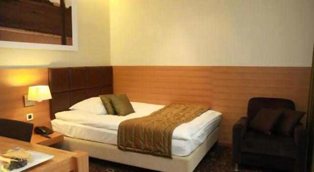 Одноместный номер Standard Hotel Balnea Superior - Terme Krka