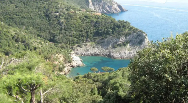 Villa Ludovica