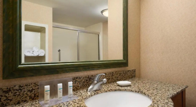 Люкс Hampton Inn & Suites Williamsburg-Central