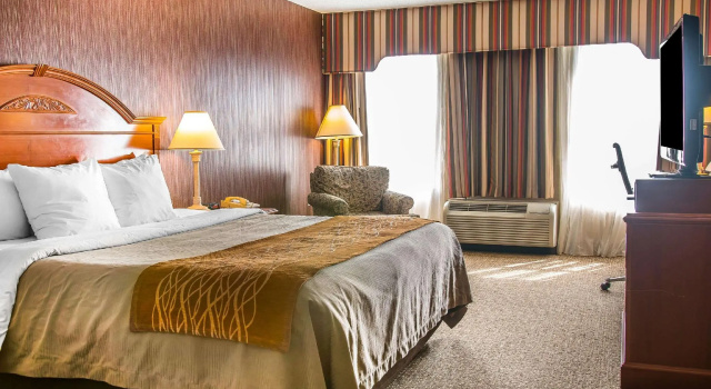 Двухместный номер Standard Hampton Inn Chelsea, Mi