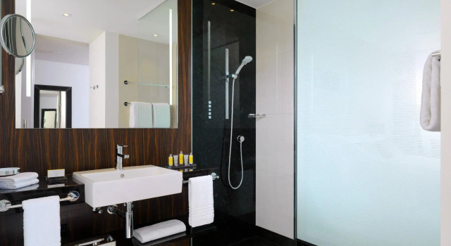 Двухместный номер Standard с видом на город Radisson Blu Hotel, Bonn