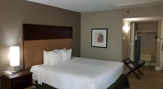 Standard Zimmer Stayable Select Gainesville