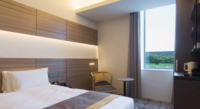 Одноместный номер Superior Nihon Seinenkan Hotel