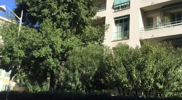 Appartement moderne 4p hypercentre de nice, Забронировать Апартаменты/квартира Ницца Приморские Альпы, рядом с Набережная Соединенных Штатов