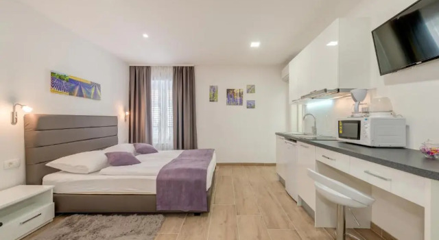 Студия Apartments Villa Tudor