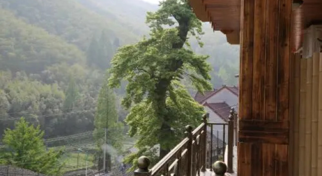 Moganshan Fengshu Holiday Guest House