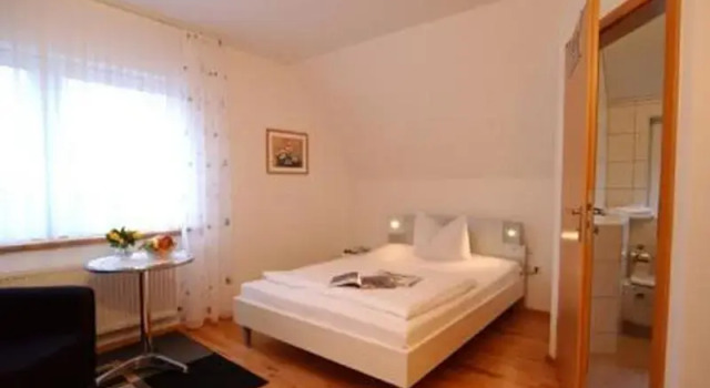 Одноместный номер Standard с балконом Hotel Bad Griepshop