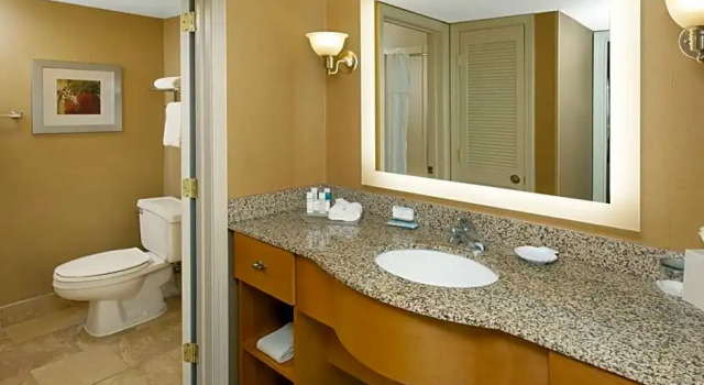 Четырёхместный номер Standard c 1 комнатой Homewood Suites Lafayette