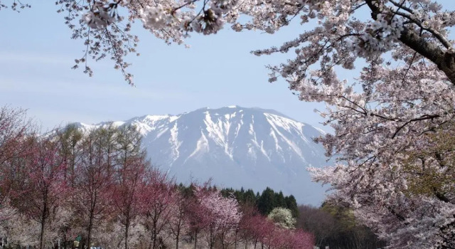 Номер Standard Pension Sanrinsha