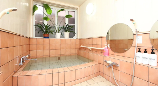 Номер Standard Pension Green Grass