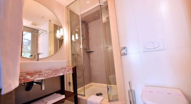 Двухместный номер Deluxe с видом на сад Hotel Ziya