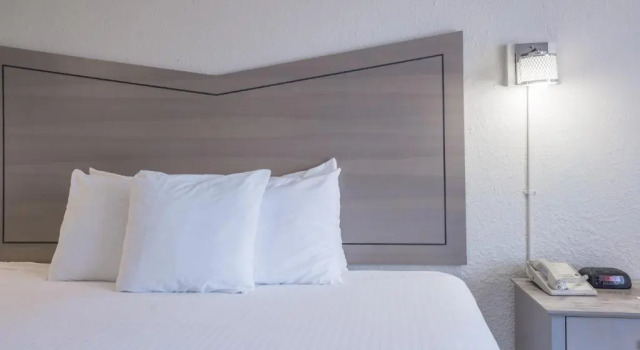 Номер Standard с видом на бассейн Ocean Coast Hotel at the Beach Amelia Island