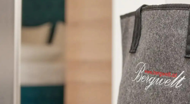 Одноместный номер Standard с балконом и с видом на горы Hotel Bergwelt