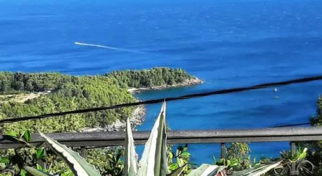 Apartments Oktopus, Book Apartment Sutomore Bar County