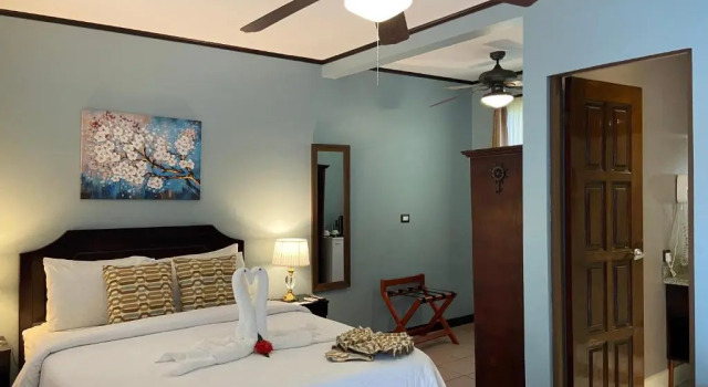 Двухместный номер Standard Hotel Playa Espadilla & Gardens