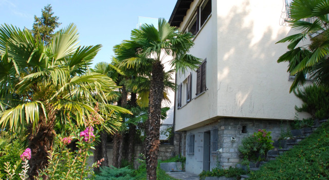Nido di Rondine