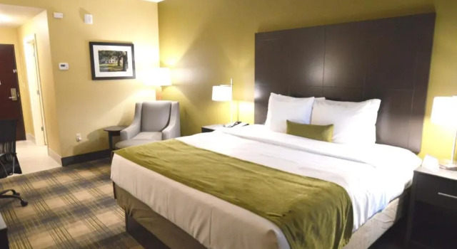Номер Standard Best Western Plus New Orleans Airport Hotel