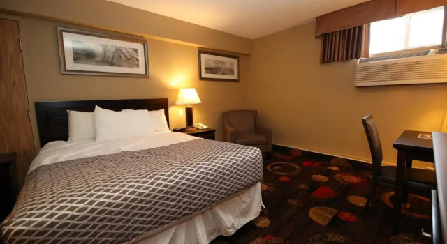 Одноместный номер Deluxe Stonebridge Hotel